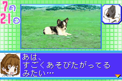 Kawaii Pet Game Gallery 2 Screenthot 2